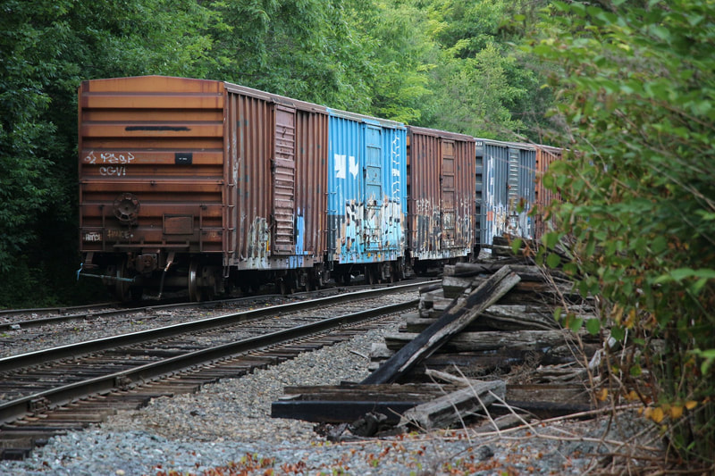 Railroad boxcars on tracks in the forest